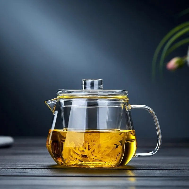 Borosilicate glass teapot with infuser brewing loose leaf tea, stovetop safe transparent tea maker with lid by Havenicstores
